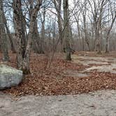 Review photo of Burlingame State Park Campground by Jean C., March 1, 2020