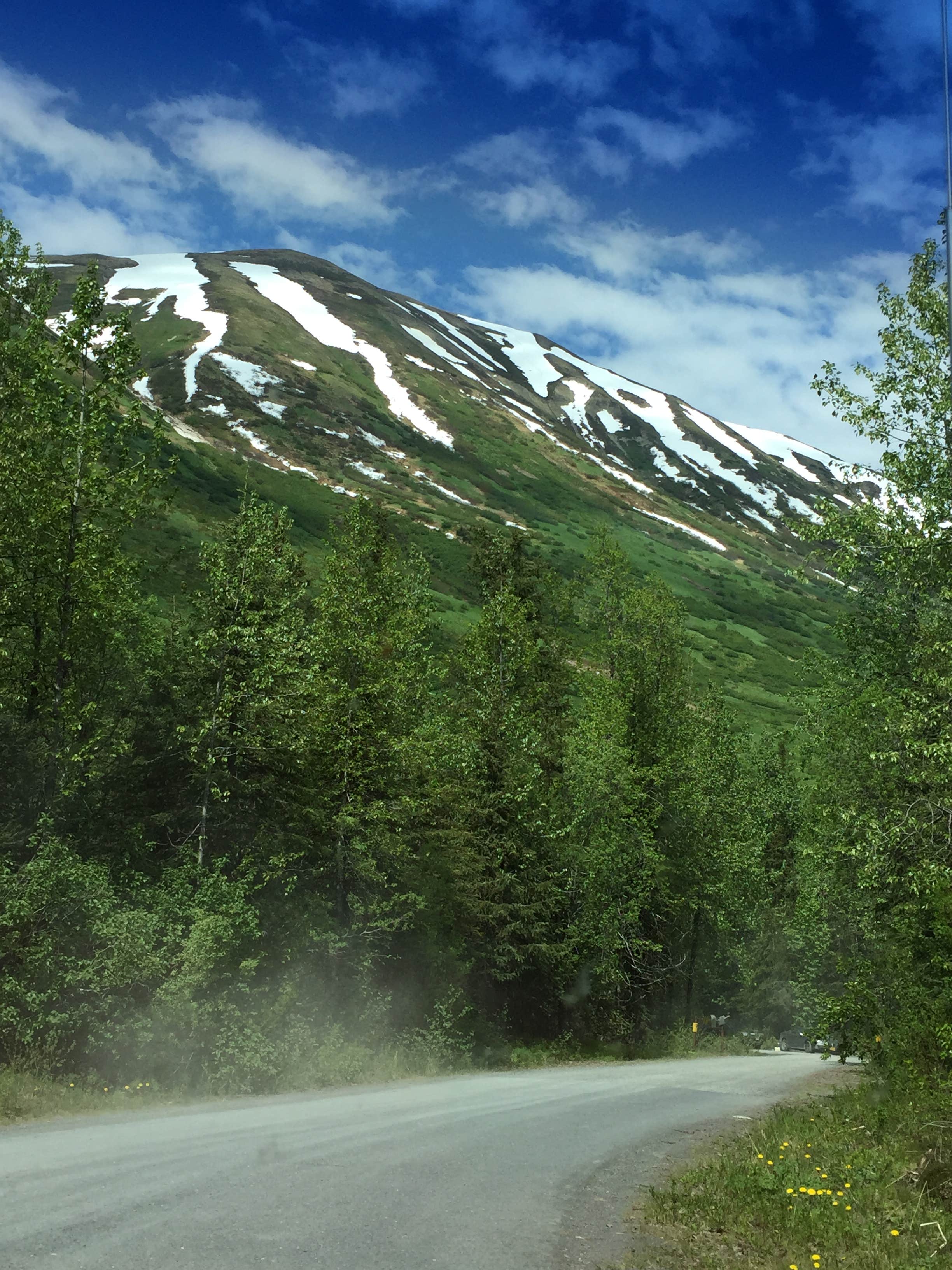 Camper submitted image from Bertha Creek Campground — Chugach National Forest - 3