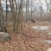 Review photo of Burlingame State Park Campground by Jean C., March 1, 2020