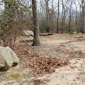 Review photo of Burlingame State Park Campground by Jean C., March 1, 2020
