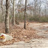 Review photo of Burlingame State Park Campground by Jean C., March 1, 2020