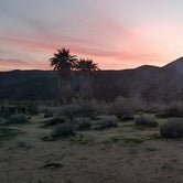 Review photo of Borrego Palm Canyon Campground — Anza-Borrego Desert State Park by Colette K., August 25, 2017
