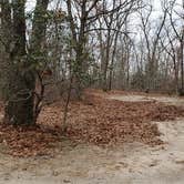 Review photo of Burlingame State Park Campground by Jean C., March 1, 2020