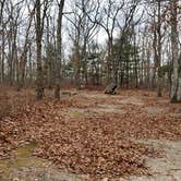 Review photo of Burlingame State Park Campground by Jean C., March 1, 2020