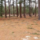 Review photo of Burlingame State Park Campground by Jean C., March 1, 2020