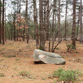 Review photo of Burlingame State Park Campground by Jean C., March 1, 2020