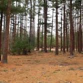Review photo of Burlingame State Park Campground by Jean C., March 1, 2020