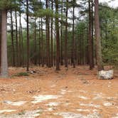 Review photo of Burlingame State Park Campground by Jean C., March 1, 2020
