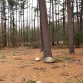 Review photo of Burlingame State Park Campground by Jean C., March 1, 2020