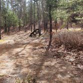 Review photo of Burlingame State Park Campground by Jean C., March 1, 2020