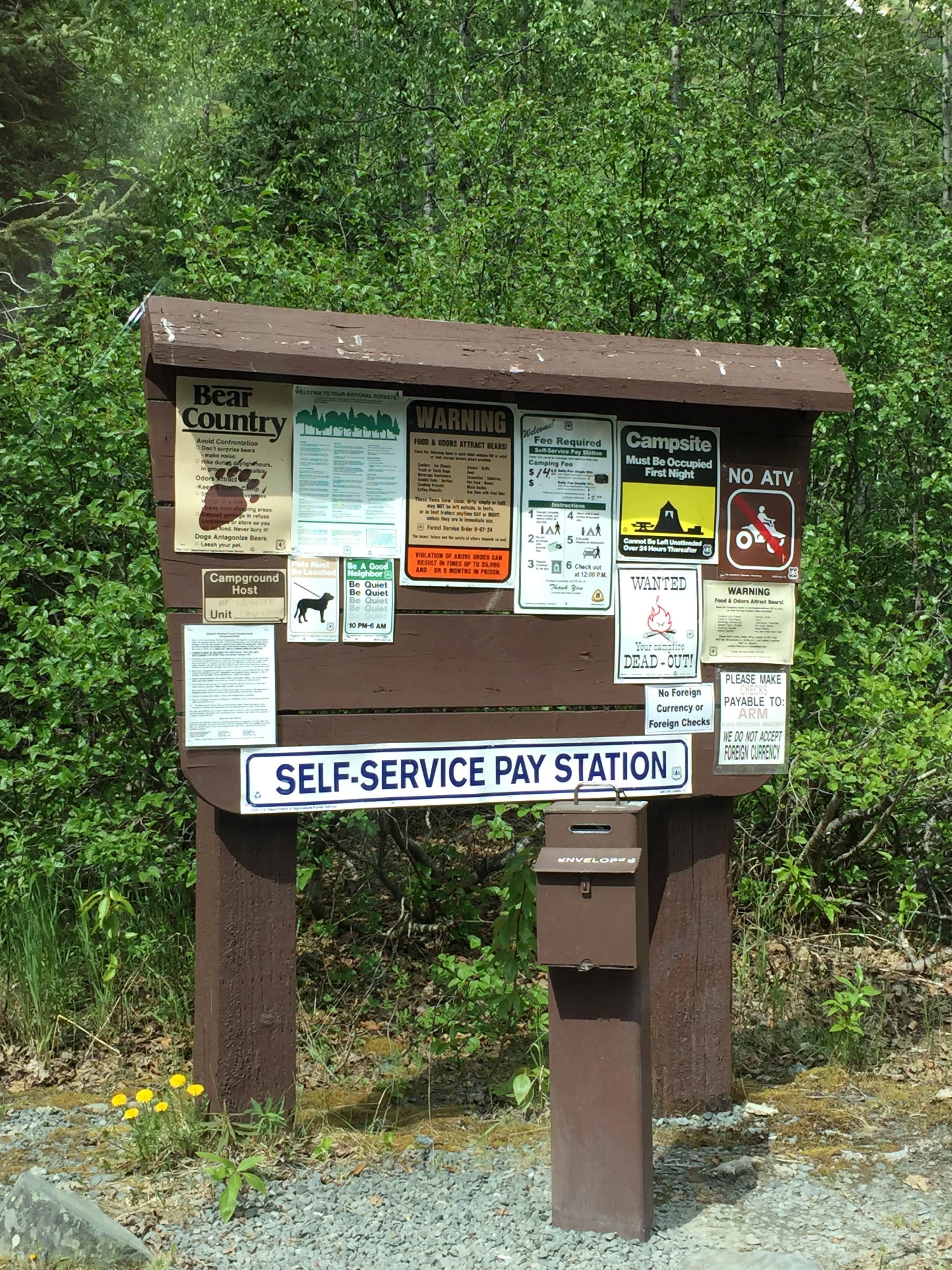 Camper submitted image from Bertha Creek Campground — Chugach National Forest - 4