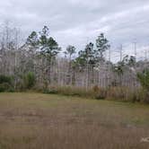 Review photo of Burns Lake Campground — Big Cypress National Preserve by Jean C., March 1, 2020