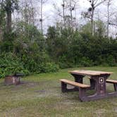 Review photo of Burns Lake Campground — Big Cypress National Preserve by Jean C., March 1, 2020