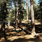 Review photo of Pineknot by Colette K., August 25, 2017