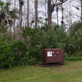 Review photo of Burns Lake Campground — Big Cypress National Preserve by Jean C., March 1, 2020