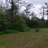 Review photo of Burns Lake Campground — Big Cypress National Preserve by Jean C., March 1, 2020