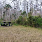 Review photo of Burns Lake Campground — Big Cypress National Preserve by Jean C., March 1, 2020