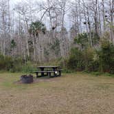 Review photo of Burns Lake Campground — Big Cypress National Preserve by Jean C., March 1, 2020