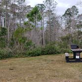 Review photo of Burns Lake Campground — Big Cypress National Preserve by Jean C., March 1, 2020