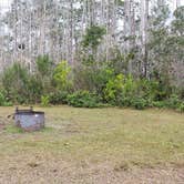 Review photo of Burns Lake Campground — Big Cypress National Preserve by Jean C., March 1, 2020