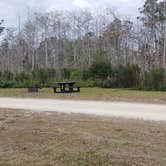 Review photo of Burns Lake Campground — Big Cypress National Preserve by Jean C., March 1, 2020