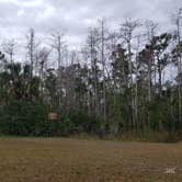 Review photo of Burns Lake Campground — Big Cypress National Preserve by Jean C., March 1, 2020