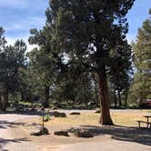 Review photo of Tumalo State Park Campground by Corinna B., June 1, 2019