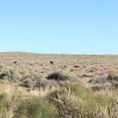 Review photo of Homolovi State Park Campground by Bounding Around , March 1, 2020