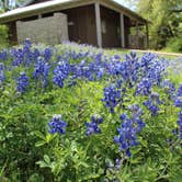 Review photo of McKinney Falls State Park Campground by Bounding Around , March 1, 2020