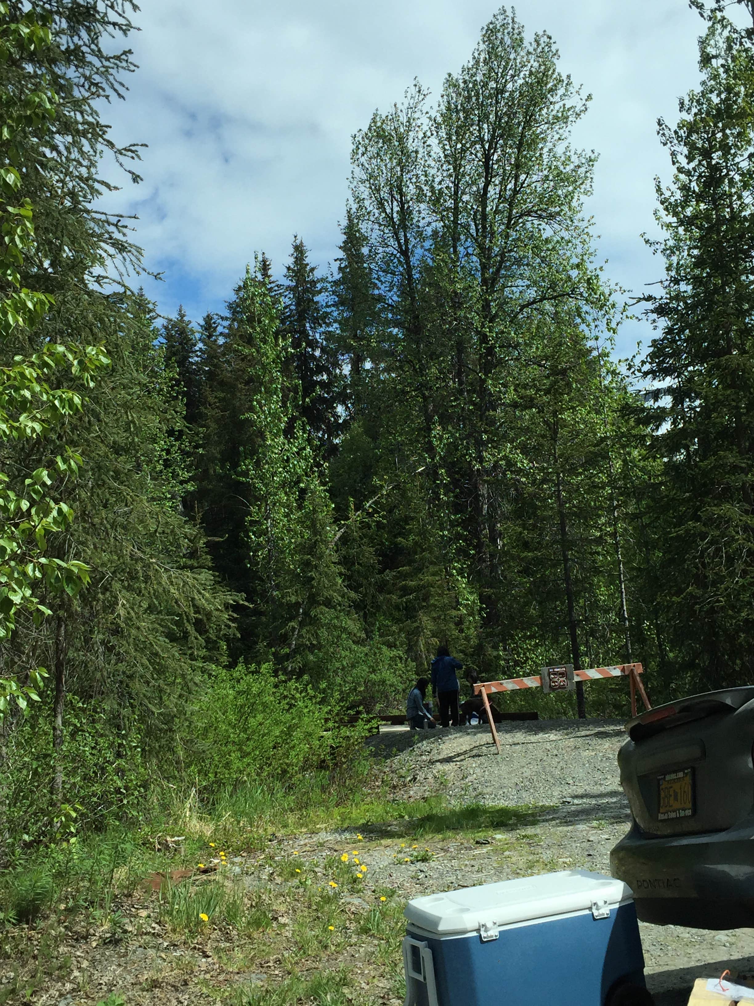 Camper submitted image from Bertha Creek Campground — Chugach National Forest - 2