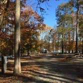 Review photo of Croft State Park Campground by Bounding Around , March 1, 2020