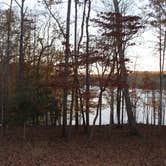 Review photo of Croft State Park Campground by Bounding Around , March 1, 2020