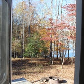 Review photo of Croft State Park Campground by Bounding Around , March 1, 2020