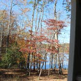 Review photo of Croft State Park Campground by Bounding Around , March 1, 2020