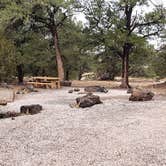 Review photo of El Morro National Monument by Jean C., March 1, 2020