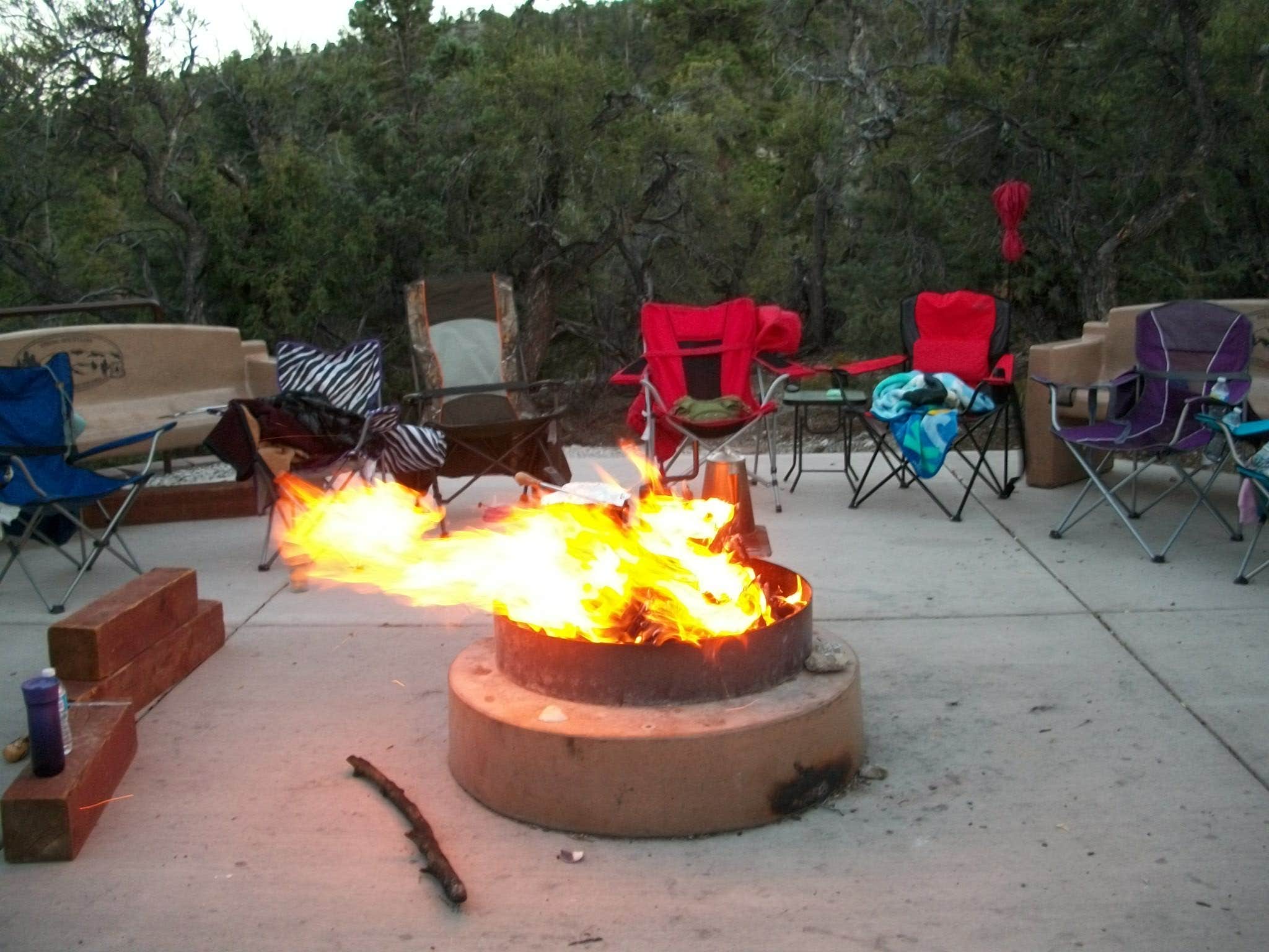 Colette K.'s photo at Mahogany Grove near Las Vegas, NV