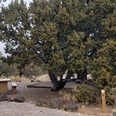 Review photo of El Morro National Monument by Jean C., March 1, 2020