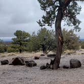 Review photo of El Morro National Monument by Jean C., March 1, 2020