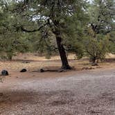 Review photo of El Morro National Monument by Jean C., March 1, 2020