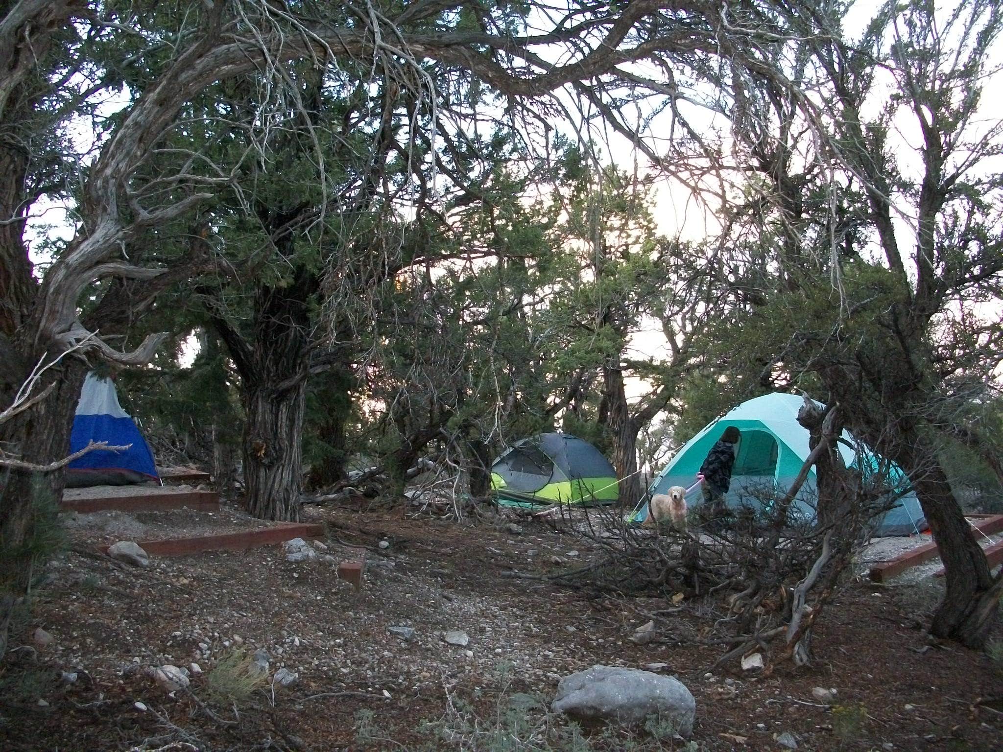 Colette K.'s photo at Mahogany Grove near Las Vegas, NV