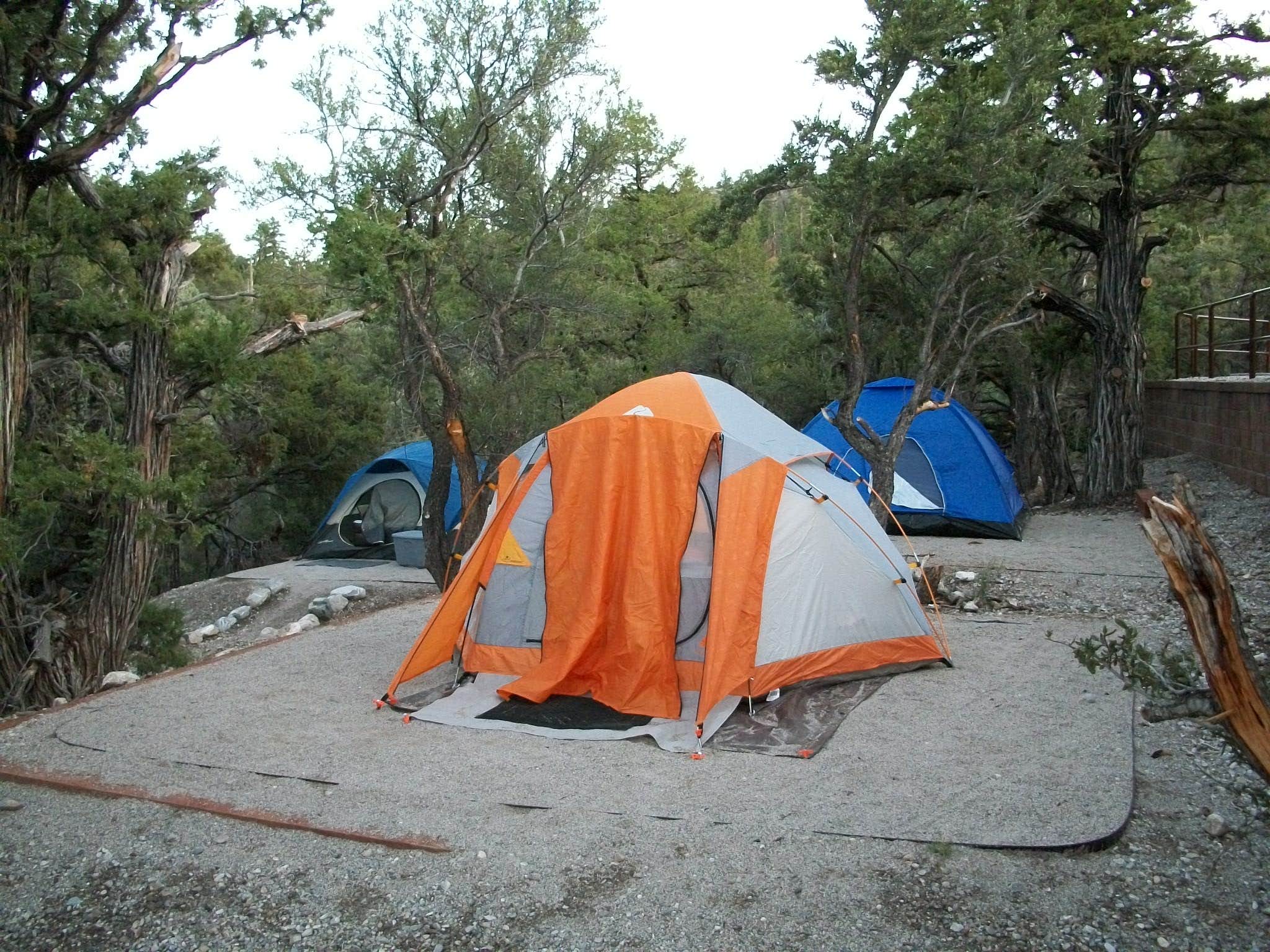 Colette K.'s photo at Mahogany Grove near Indian Springs, NV