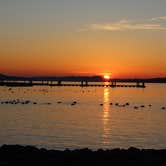 Review photo of Lake Guntersville State Park Campground by Bounding Around , March 1, 2020