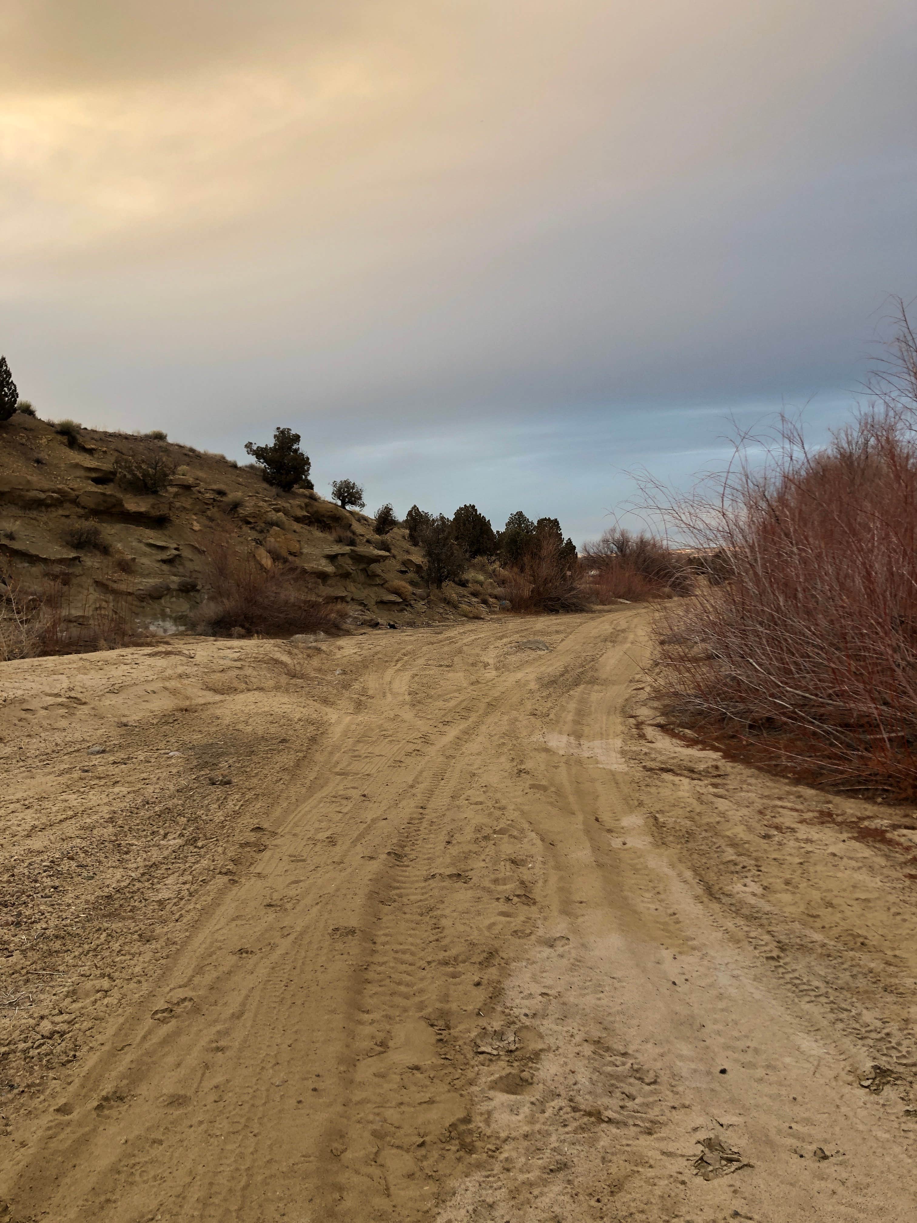 Camper submitted image from Dunes OHV Area - 3