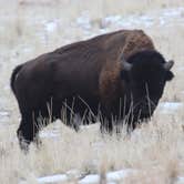 Review photo of Bridger Bay Campground — Antelope Island State Park by Alan B., March 1, 2020