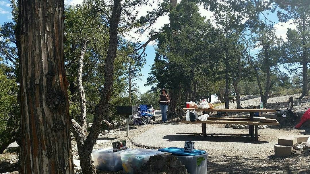 Colette K.'s photo at Hilltop near Las Vegas, NV