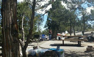 Colette K.'s photo at Hilltop near Blue Diamond, NV