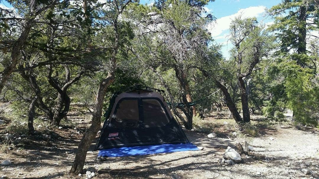 Colette K.'s photo at Hilltop near Indian Springs, NV