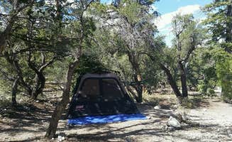 Colette K.'s photo at Hilltop near Blue Diamond, NV