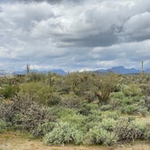Review photo of Superstition Mountain AZ state trust dispersed by Beth G., March 1, 2020
