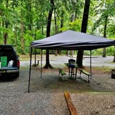 Review photo of Cataloochee Campground — Great Smoky Mountains National Park by Myron C., March 1, 2020